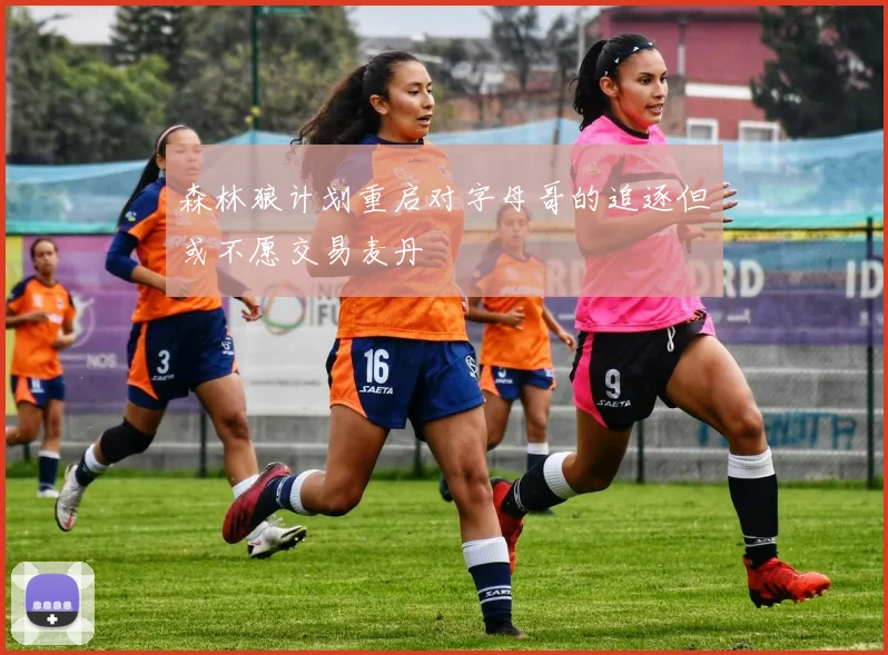 森林狼计划重启对字母哥的追逐但或不愿交易麦丹